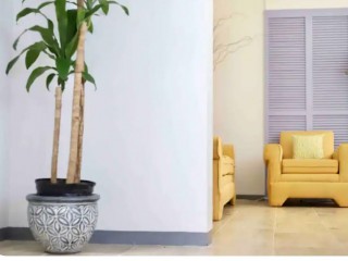 4 bed House For Sale - Mona, Kingston / St. Andrew, Jamaica