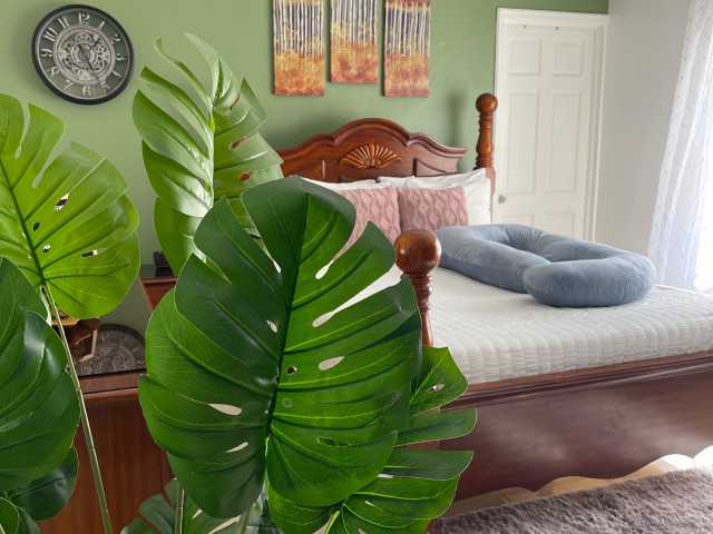 Apartment For Rent in Red Hills, Kingston / St. Andrew Jamaica | [6]