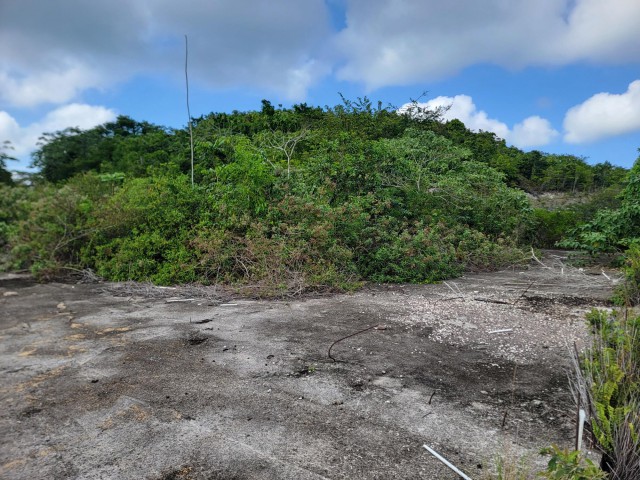 Development Land (Residential) For Sale in Jackson Town, Trelawny Jamaica | [7]