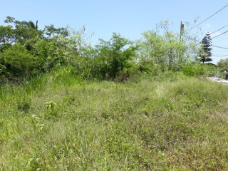 Residential lot For Sale in WESTGATE HILLS, St. James Jamaica | [7]