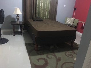 Apartment For Rent in University Crescent 5 minutes walk from UHWI UWI and 2 minutes from UTECH, Kingston / St. Andrew Jamaica | [4]