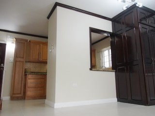 Apartment For Rent in New Kingston Kingston 5, Kingston / St. Andrew Jamaica | [5]