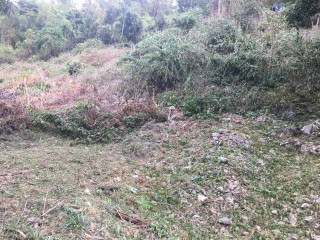 Residential lot For Sale in Queen Hill, Kingston / St. Andrew Jamaica | [2]