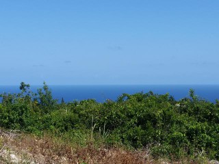 Residential lot For Sale in Montego Bay St James, St. James Jamaica | [9]