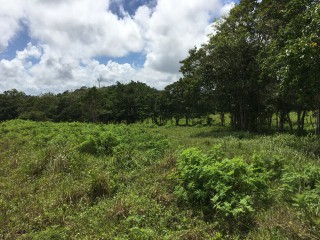 Residential lot For Sale in Chippenham Park Bamboo, St. Ann Jamaica | [11]