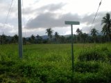 Residential lot For Sale in WhiteHall, St. Mary Jamaica | [4]