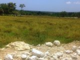 Residential lot For Sale in Lacovia, St. Elizabeth Jamaica | [13]