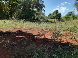 Land For Sale in Nain, St. Elizabeth Jamaica | [2]