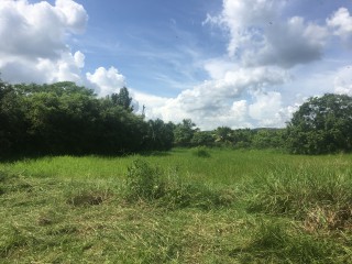 Commercial/farm land For Sale in Clarendon Park, Clarendon Jamaica | [1]