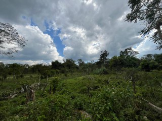 Commercial/farm land For Sale - Belvedere Chester Castle, Hanover, Jamaica