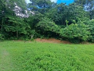 Land For Sale - Grange Hill, Portland, Jamaica