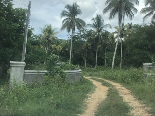 Residential lot For Sale in Orangefield District, St. Catherine Jamaica | [1]