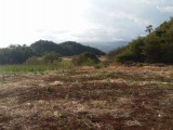 Commercial/farm land For Rent in Manchester, Manchester Jamaica | [2]