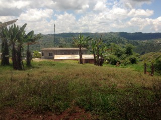 House For Sale in Christiana, Manchester Jamaica | [2]