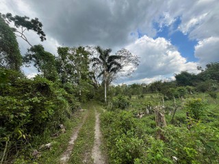 Commercial/farm land For Sale in Belvedere Chester Castle, Hanover Jamaica | [2]