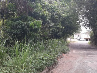 Residential lot For Sale in Coopers Hill Red Hills KGN 19, Kingston / St. Andrew, Jamaica