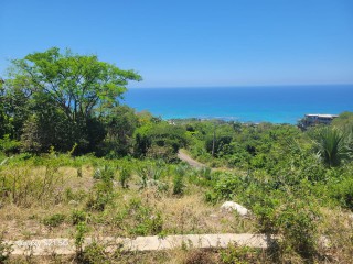 Residential lot For Sale in Culloden, Westmoreland Jamaica | [2]