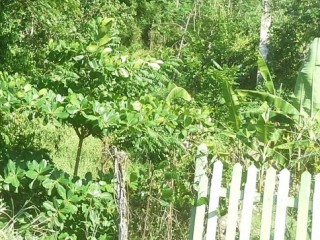 Residential lot For Sale in Tripoli, St. Ann Jamaica | [5]