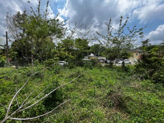 Land For Sale – Bethel Town, Westmoreland, Jamaica