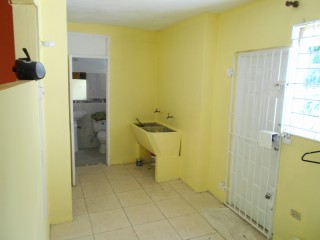 House For Rent in Roehampton Circle, Kingston / St. Andrew Jamaica | [11]