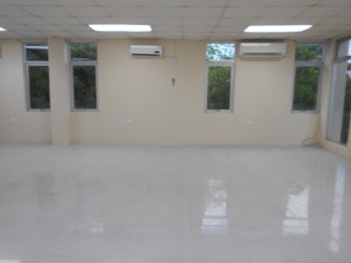 Commercial building For Rent in New Kingston, Kingston / St. Andrew Jamaica | [6]