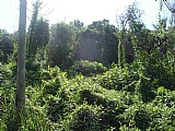 Residential lot For Sale in Smokey Vale, Kingston / St. Andrew Jamaica | [7]