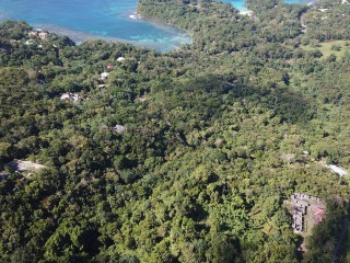 Resort/vacation property For Sale in San San, Portland Jamaica | [7]