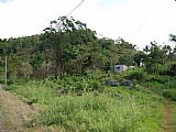 Residential lot For Sale in Hopeton Mandeville, Manchester Jamaica | [6]