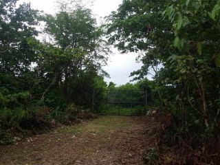 Residential lot For Sale in Fairy Hill, Portland Jamaica | [2]