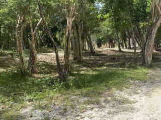 Land For Sale in Montego Bay, St. James, Jamaica