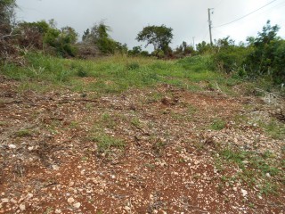 Land For Sale in Wigton, Manchester Jamaica | [5]