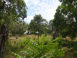 Land For Sale in Brompton, St. Elizabeth, Jamaica
Under Offer