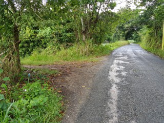 Commercial/farm land For Sale in Carton Estate Off road leading from Claremont to Lime Hall, St. Ann Jamaica | [6]