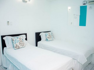 Apartment For Rent in New Kingston, Kingston / St. Andrew Jamaica | [5]