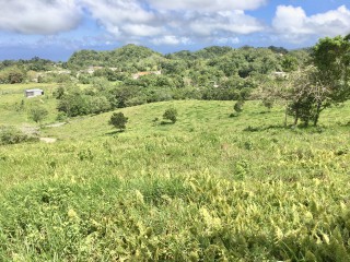 Residential lot For Sale in Chippenham Park Bamboo, St. Ann Jamaica | [6]