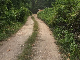 Residential lot For Sale in ST MARGARETS BAY, Portland Jamaica | [2]
