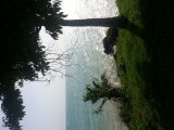 House For Rent in Whitehouse, Westmoreland Jamaica | [1]