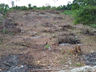 Residential lot For Sale in Tower isles, St. Mary, Jamaica