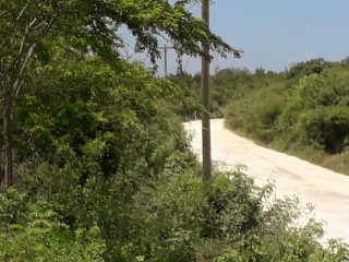 Residential lot For Sale in Pleasant Valley, Clarendon Jamaica | [1]