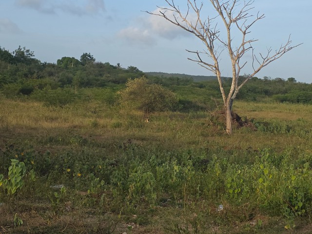 Residential lot For Sale in Sandy Bay, Clarendon Jamaica | [1]