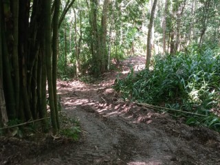 Commercial land For Sale in Gayle, St. Mary Jamaica | [1]