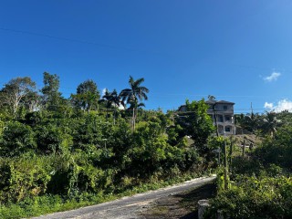 Residential lot For Sale in Rio Nievo, St. Mary, Jamaica