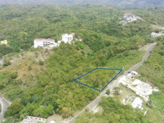 Residential lot For Sale in Whitehouse, Westmoreland Jamaica | [4]