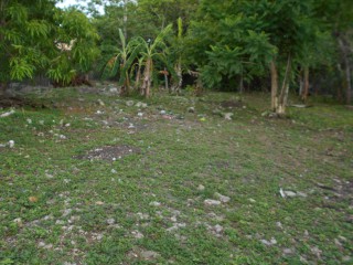 House For Sale in Galina, St. Mary Jamaica | [11]