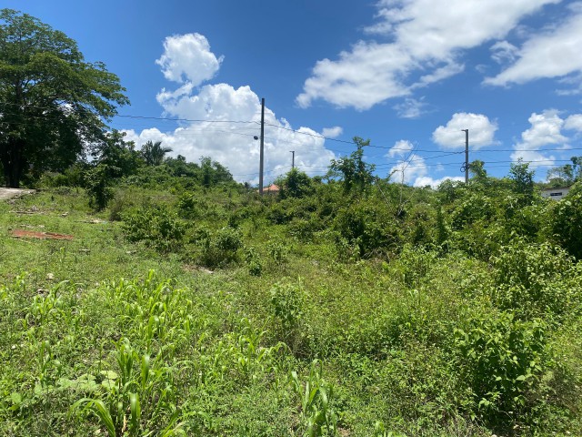 Residential lot For Sale in Santa Cruz, St. Elizabeth Jamaica | [6]