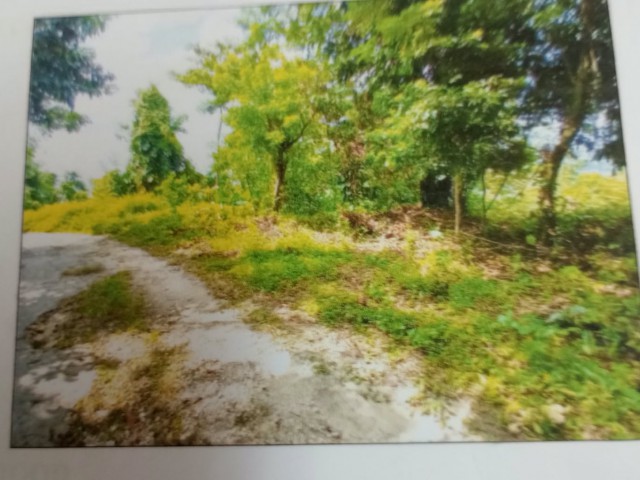 Residential lot For Sale in Haughton Court, Hanover Jamaica | [1]