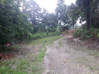 House For Sale in St Anns Bay, St. Ann Jamaica | [7]