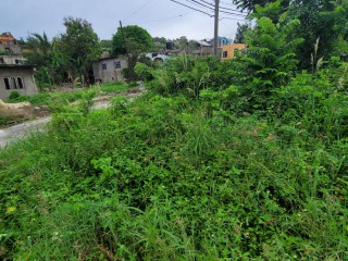 Residential lot For Sale in Cornwall Courts, St. James, Jamaica