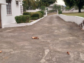 Flat For Rent in Kingston 6, Kingston / St. Andrew Jamaica | [3]