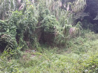 Commercial/farm land For Sale in Rock River, Clarendon Jamaica | [6]